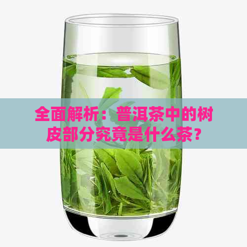 全面解析：普洱茶中的树皮部分究竟是什么茶？