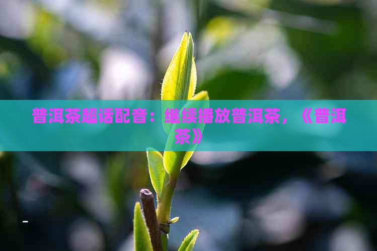 普洱茶超话配音：继续播放普洱茶，《普洱茶》