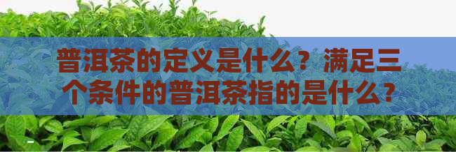 普洱茶的定义是什么？满足三个条件的普洱茶指的是什么？