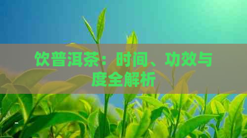 饮普洱茶：时间、功效与度全解析