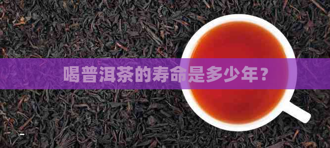 喝普洱茶的寿命是多少年？