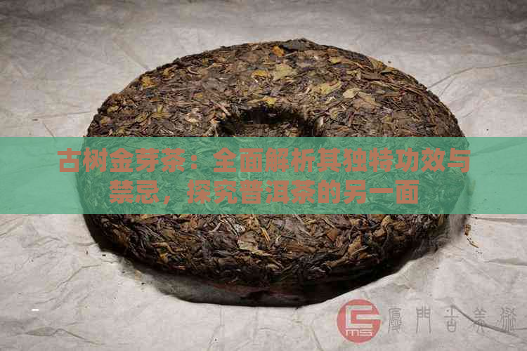 古树金芽茶：全面解析其独特功效与禁忌，探究普洱茶的另一面