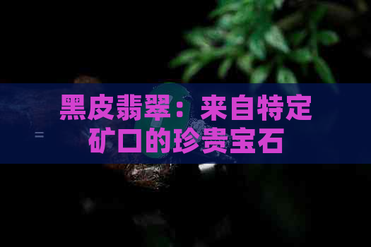 黑皮翡翠：来自特定矿口的珍贵宝石