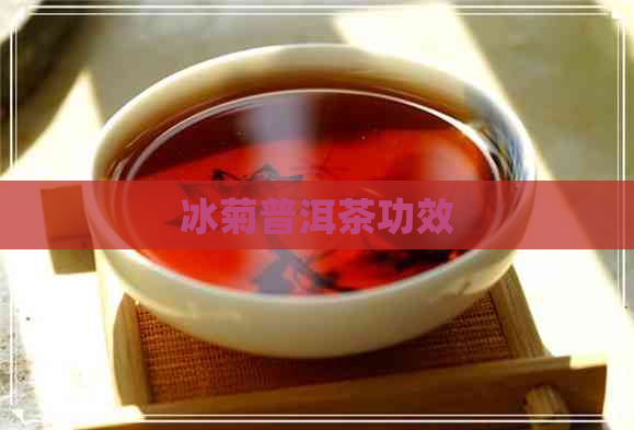 冰菊普洱茶功效