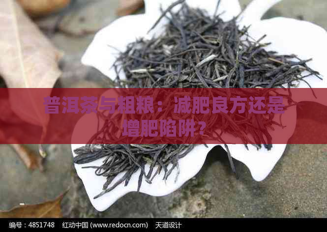 普洱茶与粗粮：减肥良方还是增肥陷阱？