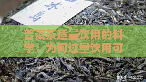 普洱茶适量饮用的科学：为何过量饮用可能带来健风险