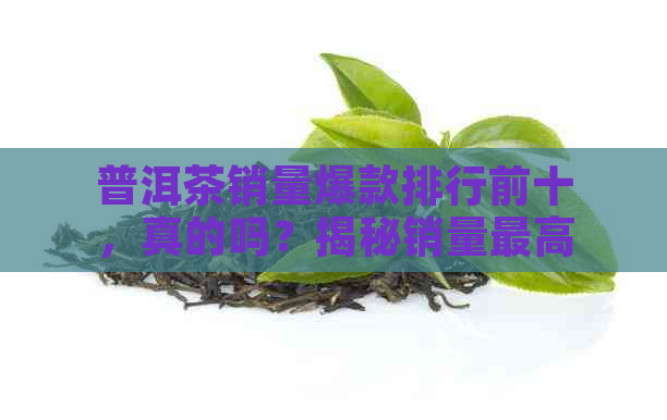 普洱茶销量爆款排行前十，真的吗？揭秘销量更高的普洱茶有哪些？