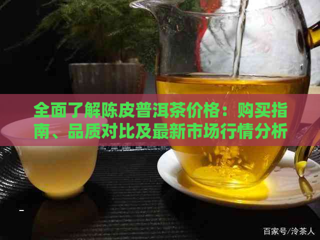 全面了解陈皮普洱茶价格：购买指南、品质对比及最新市场行情分析