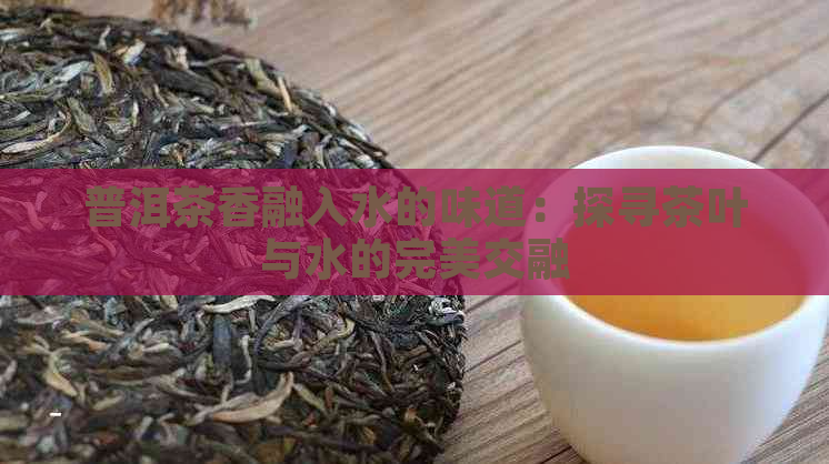 普洱茶香融入水的味道：探寻茶叶与水的完美交融