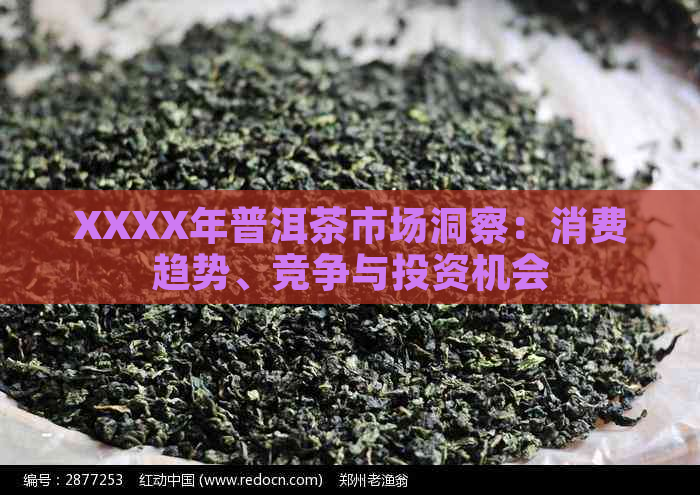 XXXX年普洱茶市场洞察：消费趋势、竞争与投资机会