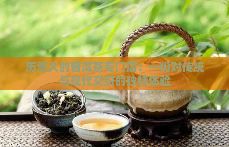 历悠久的普洱茶专门店：一份对传统与现代交织的独特体验