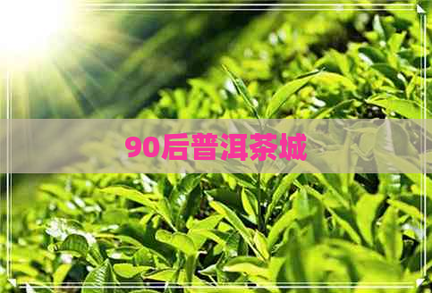 90后普洱茶城