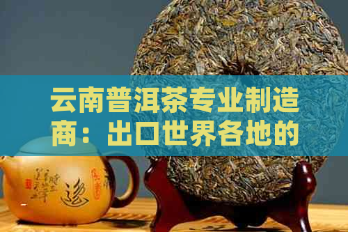 云南普洱茶专业制造商：出口世界各地的高品质茶叶