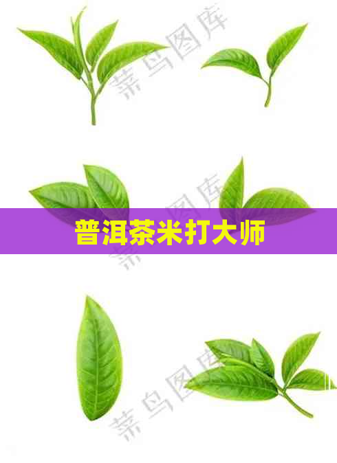 普洱茶米打大师