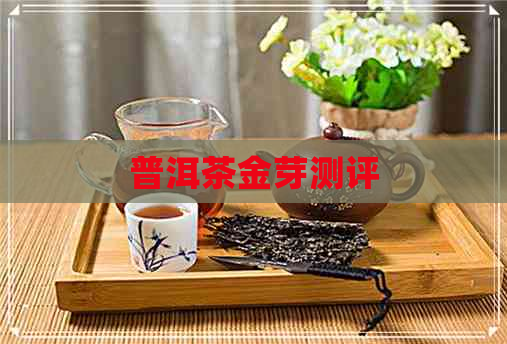 普洱茶金芽测评