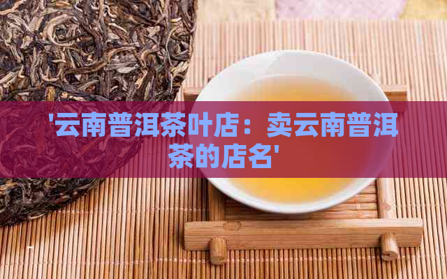 '云南普洱茶叶店：卖云南普洱茶的店名'