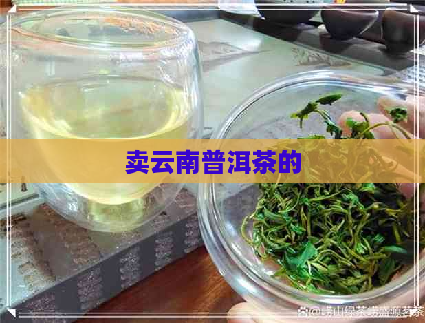 卖云南普洱茶的