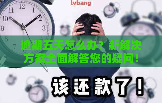 逾期五天怎么办？新解决方案全面解答您的疑问！