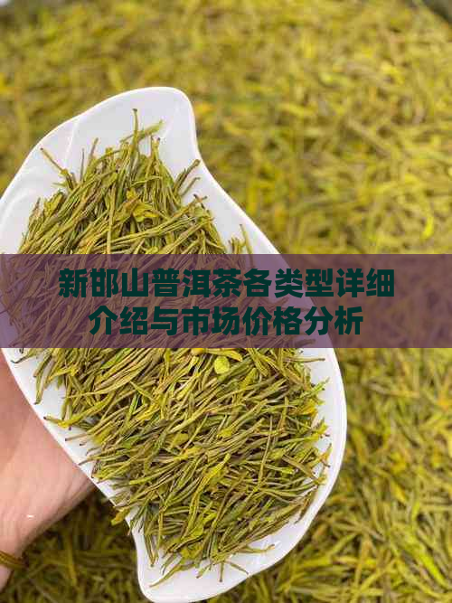 新邯山普洱茶各类型详细介绍与市场价格分析