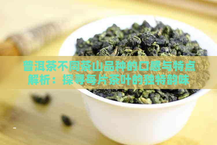 普洱茶不同茶山品种的口感与特点解析：探寻每片茶叶的独特韵味