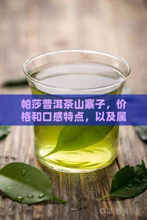 帕莎普洱茶山寨子，价格和口感特点，以及属于哪个茶区的介绍。