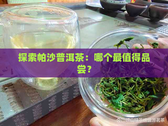 探索帕沙普洱茶：哪个最值得品尝？