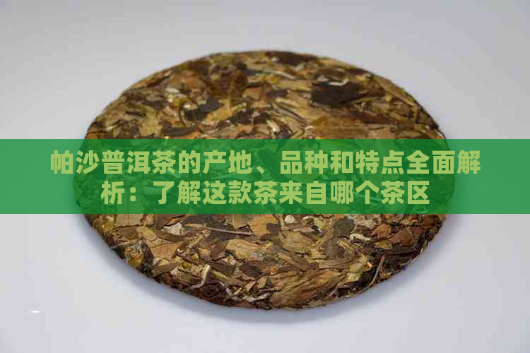 帕沙普洱茶的产地、品种和特点全面解析：了解这款茶来自哪个茶区