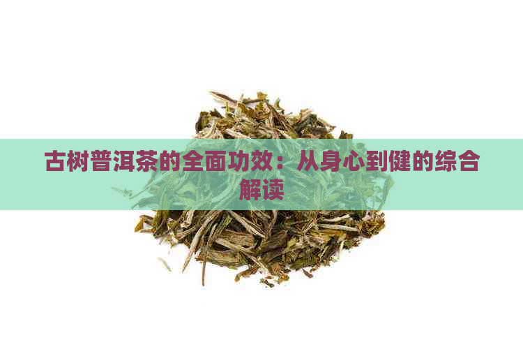 古树普洱茶的全面功效：从身心到健的综合解读