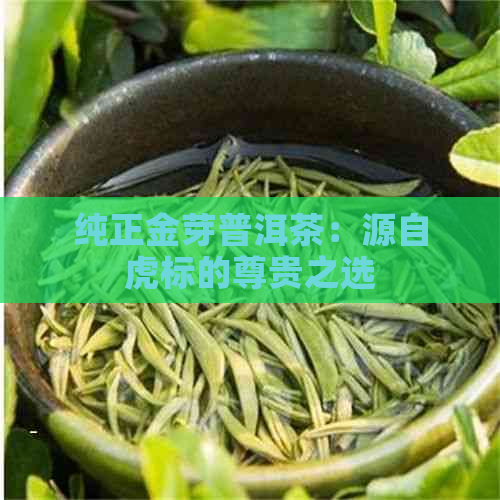 纯正金芽普洱茶：源自虎标的尊贵之选