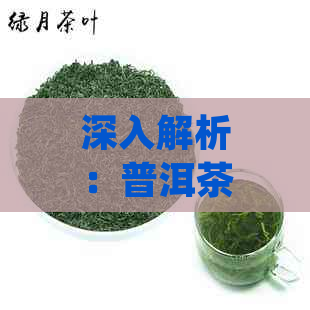 深入解析：普洱茶饼的精制作工艺流程，从原料选择到压制技巧一网打尽