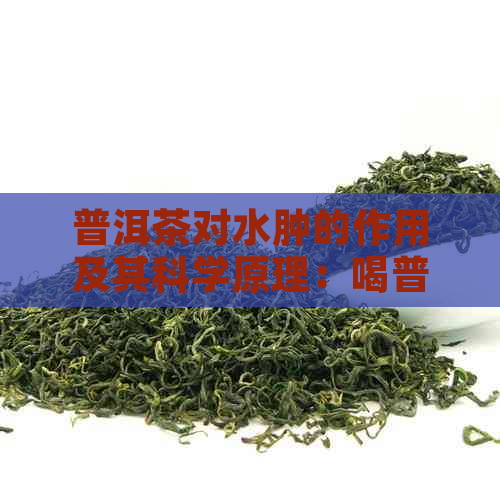 普洱茶对水肿的作用及其科学原理：喝普洱茶是否真的能有效缓解水肿？