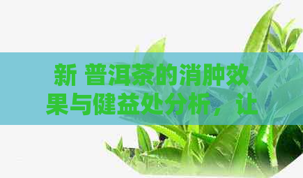 新 普洱茶的消肿效果与健益处分析，让你重新认识这种古老饮品