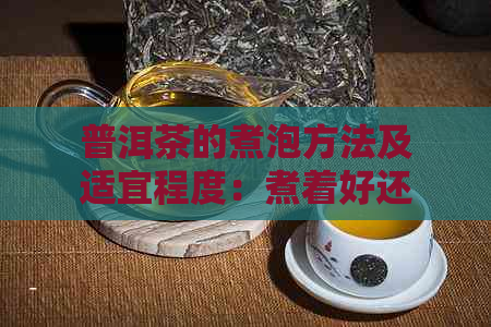 普洱茶的煮泡方法及适宜程度：煮着好还是泡着好？