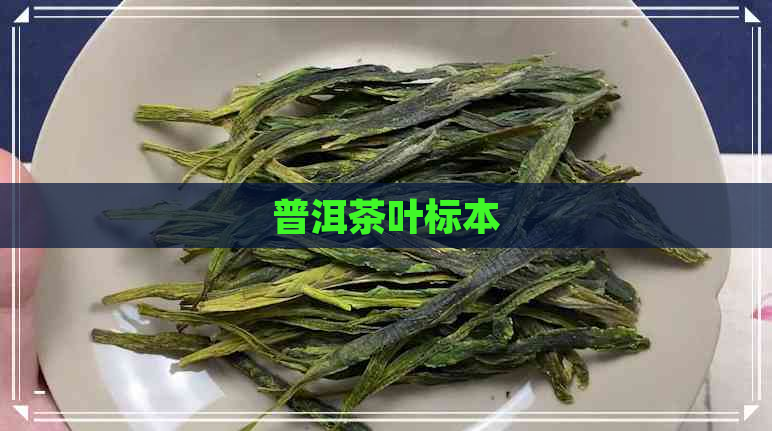 普洱茶叶标本