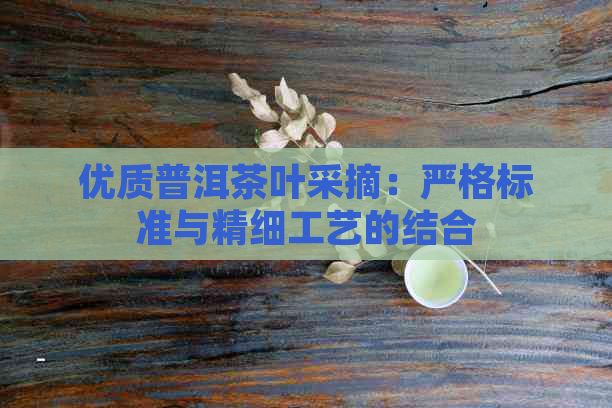 优质普洱茶叶采摘：严格标准与精细工艺的结合