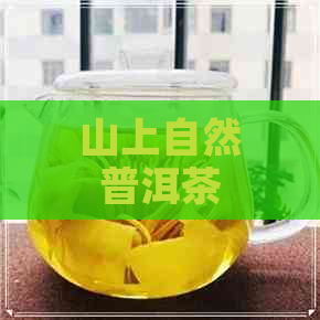 山上自然普洱茶