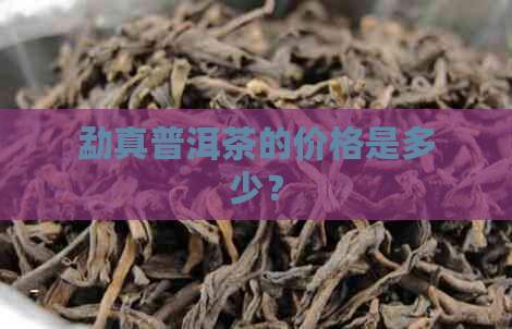 勐真普洱茶的价格是多少？