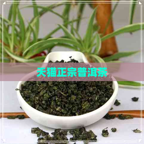 天猫正宗普洱茶