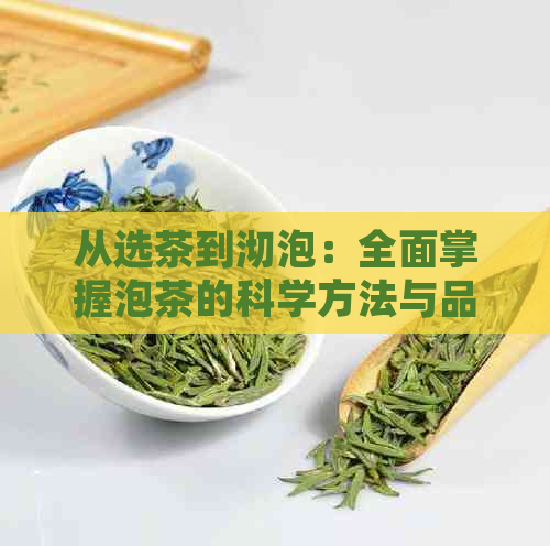 从选茶到沏泡：全面掌握泡茶的科学方法与品饮体验