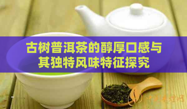 古树普洱茶的醇厚口感与其独特风味特征探究