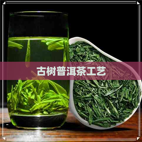 古树普洱茶工艺