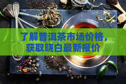 了解普洱茶市场价格，获取晓白最新报价