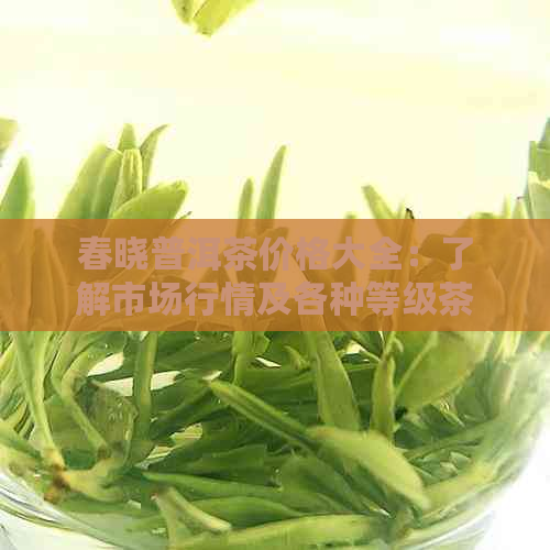 春晓普洱茶价格大全：了解市场行情及各种等级茶叶的价格