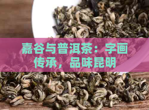 嘉谷与普洱茶：字画传承，品味昆明