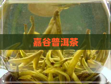 嘉谷普洱茶