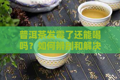 普洱茶发霉了还能喝吗？如何辨别和解决普洱茶的霉味问题