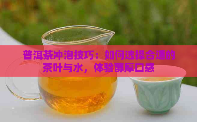 普洱茶冲泡技巧：如何选择合适的茶叶与水，体验醇厚口感