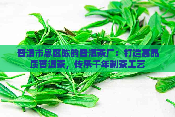 普洱市思区陈韵普洱茶厂：打造高品质普洱茶，传承千年制茶工艺