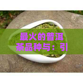 最火的普洱茶品种与：引领行业的热门选择