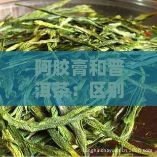 阿胶膏和普洱茶：区别、一起喝的好处及注意事项